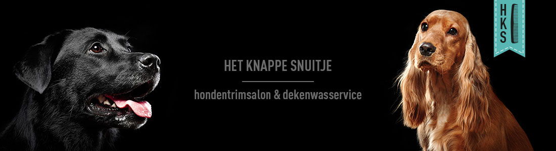 het knappe snuitje hondentrimsalon etten-leur banner