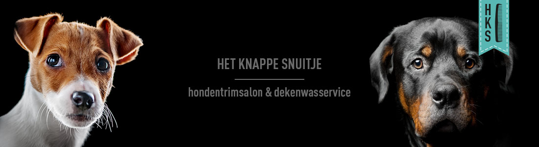 het-knappe-snuitje-banner-07 het knappe snuitje hondentrimsalon etten-leur banner