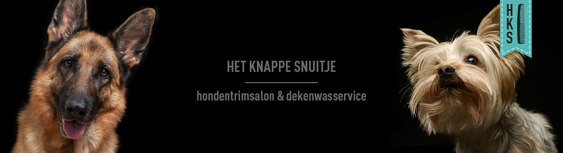 het-knappe-snuitje-banner-10 het knappe snuitje hondentrimsalon etten-leur banner